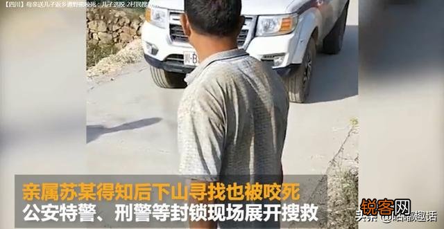 惨！母亲送儿读书遇熊咬死,搜救2人死亡,遇熊该如何自救？