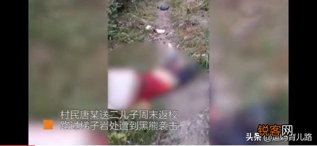 惨！母亲送儿读书遇熊咬死,搜救2人死亡,遇熊该如何自救？