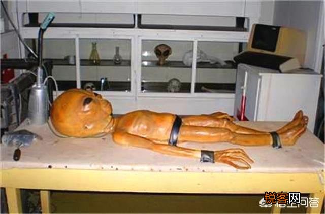 在美国真的有外星人的遗体吗？