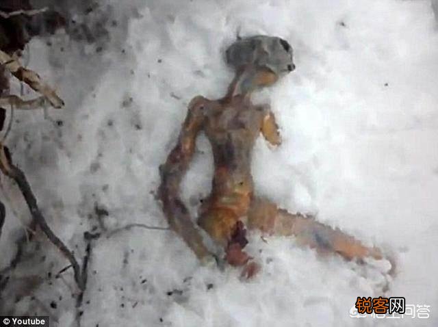 俄罗斯西伯利亚的伊尔库次克雪地发现外星人尸体,是真的吗？