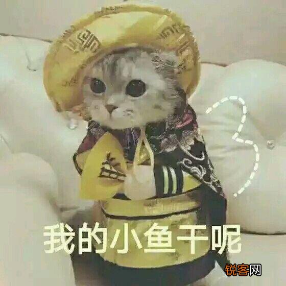 可爱的小奶猫,有什么可爱的图片?