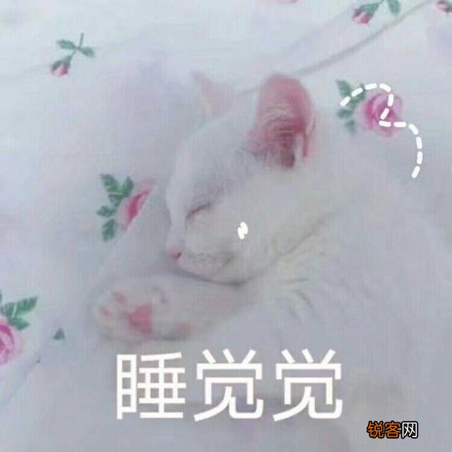 可爱的小奶猫,有什么可爱的图片?