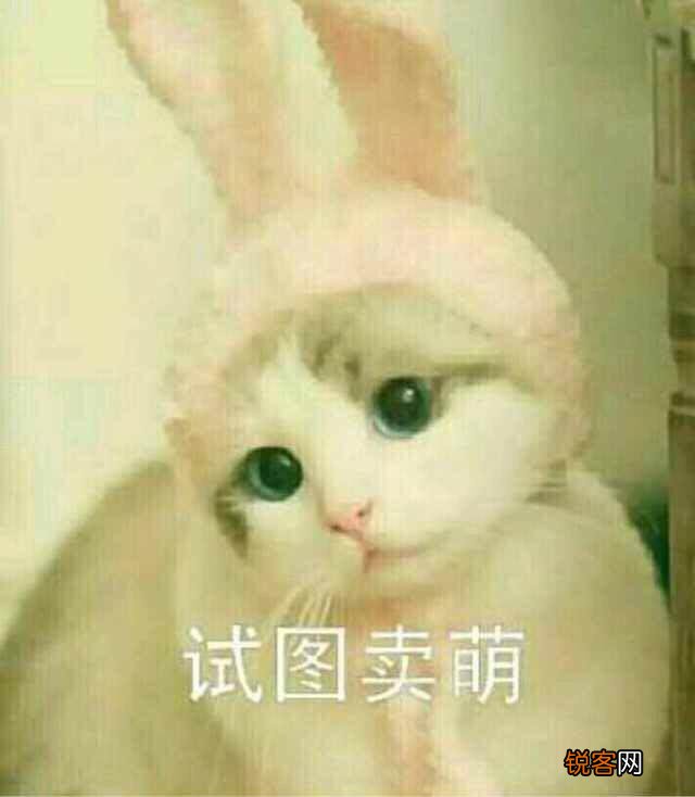 可爱的小奶猫,有什么可爱的图片?