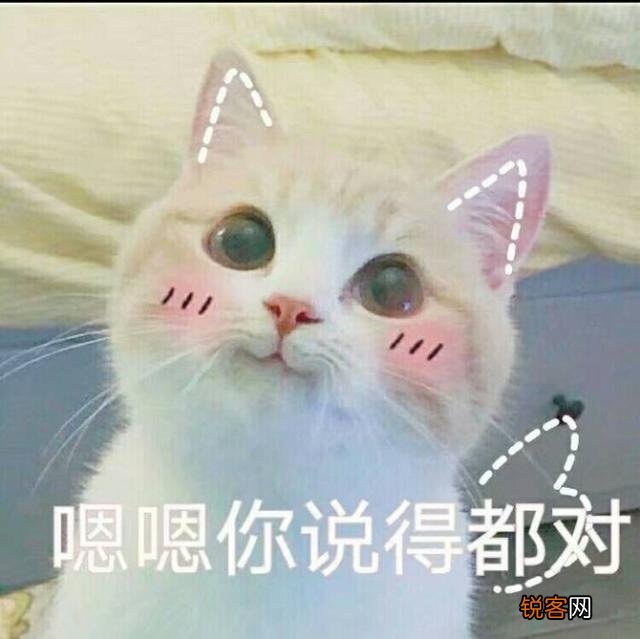 可爱的小奶猫,有什么可爱的图片?