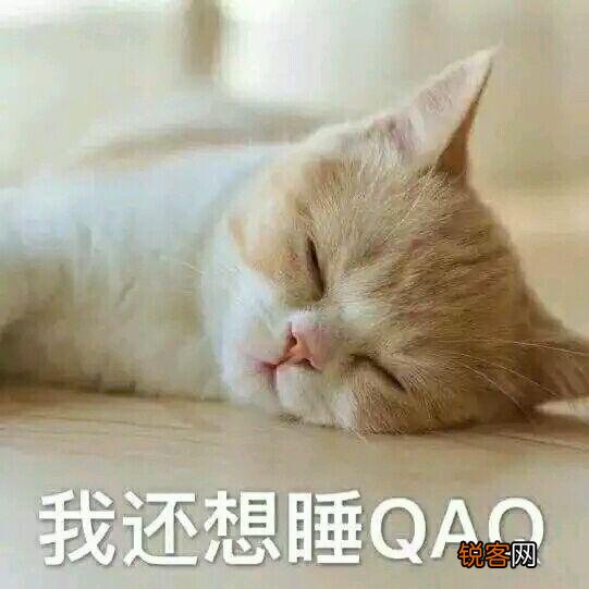 可爱的小奶猫,有什么可爱的图片?