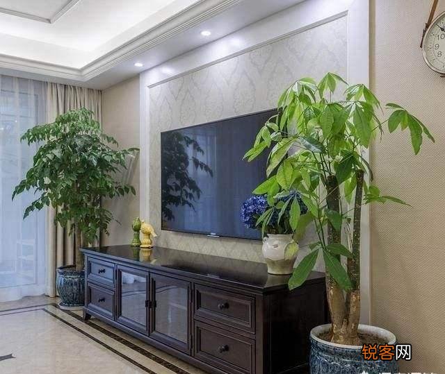 客厅最旺宅的大型植物有哪些 8种“大型花”树,吸废气造氧气,旺家又吉利