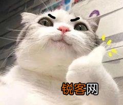 粉饼碎了怎么办 一招轻松恢复原样