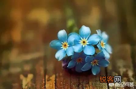 2月14日是西方的情人节,作为中国人你是如何看待这个节日的？