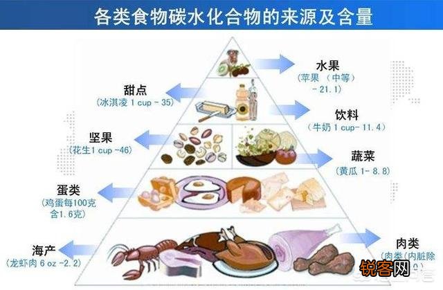 碳水化合物都包括什么？