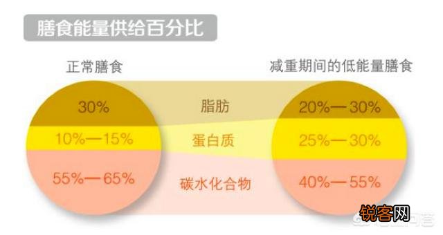 减重时,如何计算饮食中碳水化合物的摄入量？