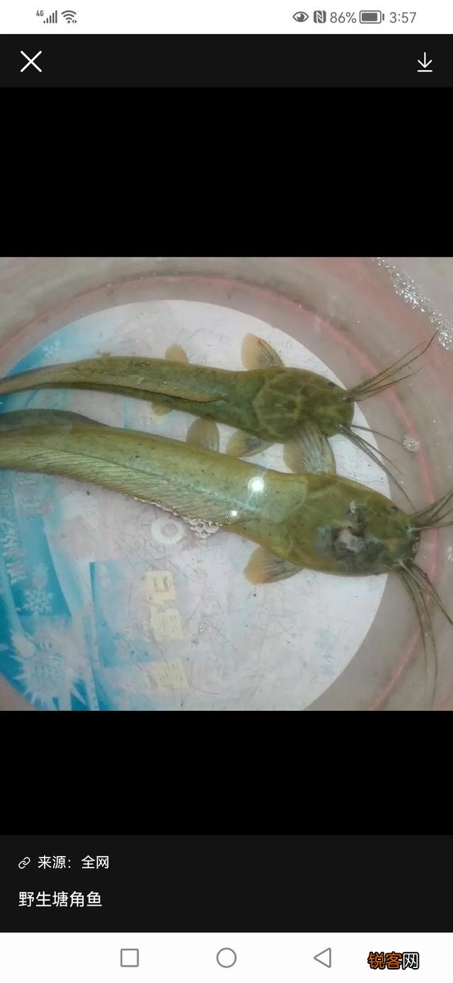 谁可以给我讲个鬼故事？