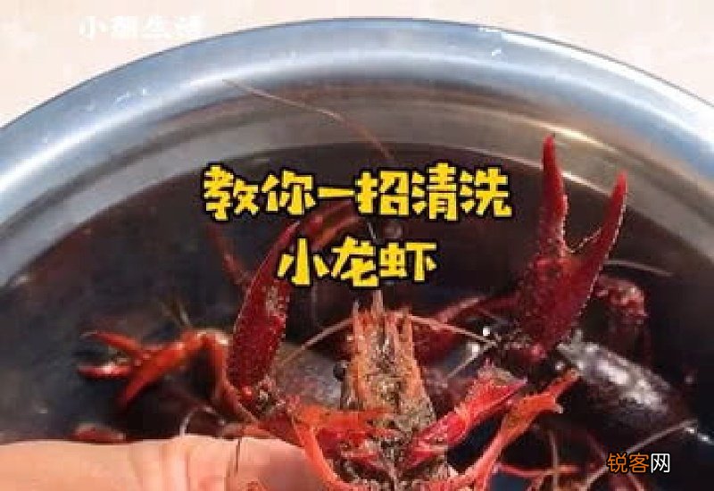 龙虾怎么清理才能干净 龙虾为什么要清洗干净食用