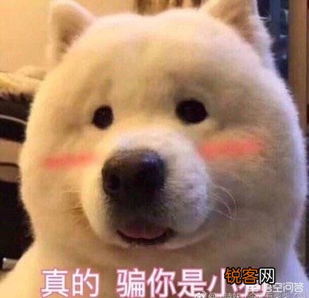 你入手过哪些好用到飞起的平价护肤品？
