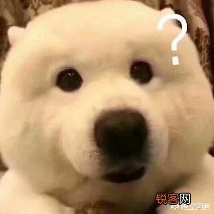 你入手过哪些好用到飞起的平价护肤品？