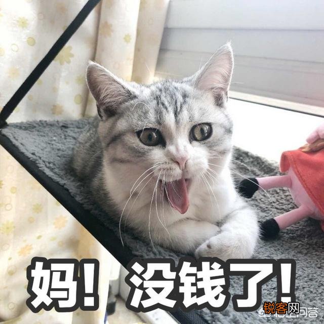 你入手过哪些好用到飞起的平价护肤品？