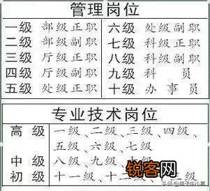 科员的管理岗位最高只能是九级吗？