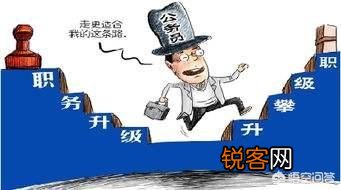 科员的管理岗位最高只能是九级吗？