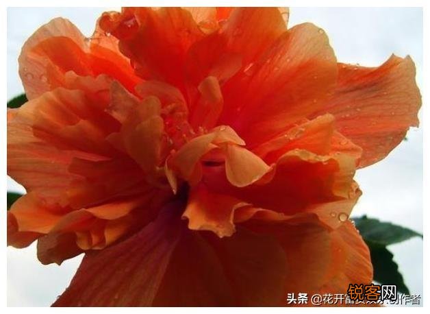 有哪些历史剧还原度较高,较有深度？