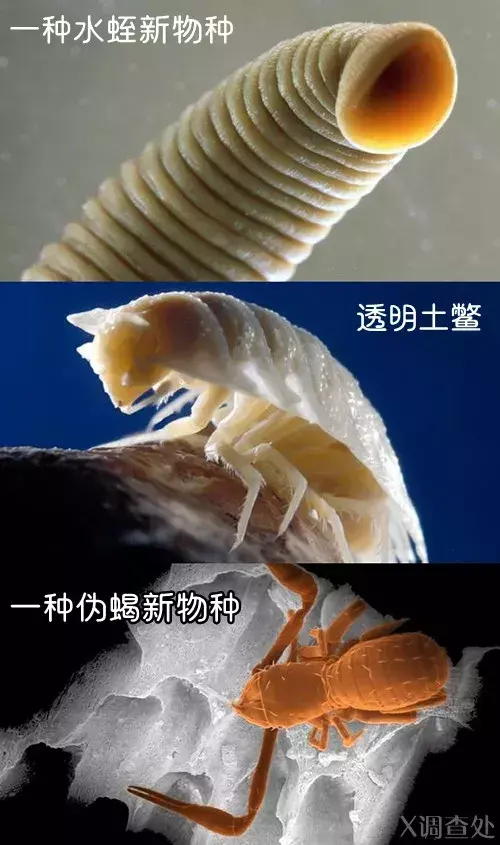未解之谜真实事件 15个未解之谜故事