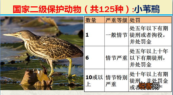 国家二级野生保护动物 最新125类保护名录