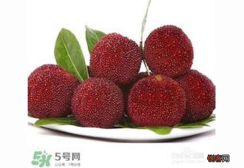 杨梅怎么吃最好 杨梅怎么吃好吃