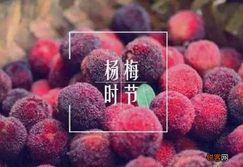 杨梅有哪些功效与作用 杨梅怎么吃比较好