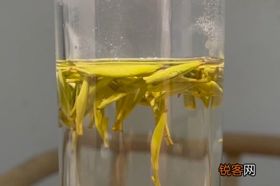 黄茶的代表名茶有哪些