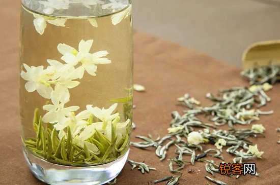 茉莉花茶什么时候出新茶