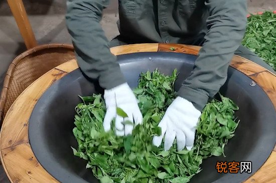 乌龙茶的制作工艺