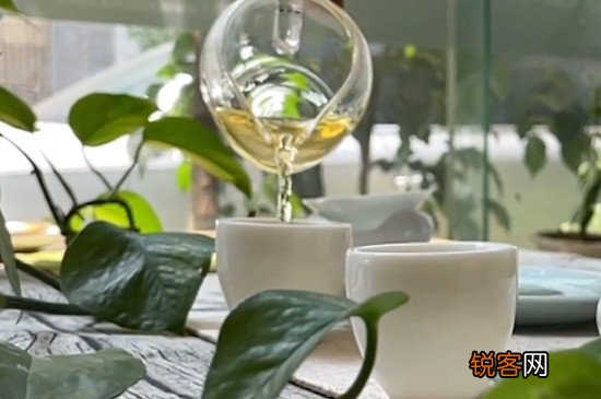 功夫茶喝什么茶好