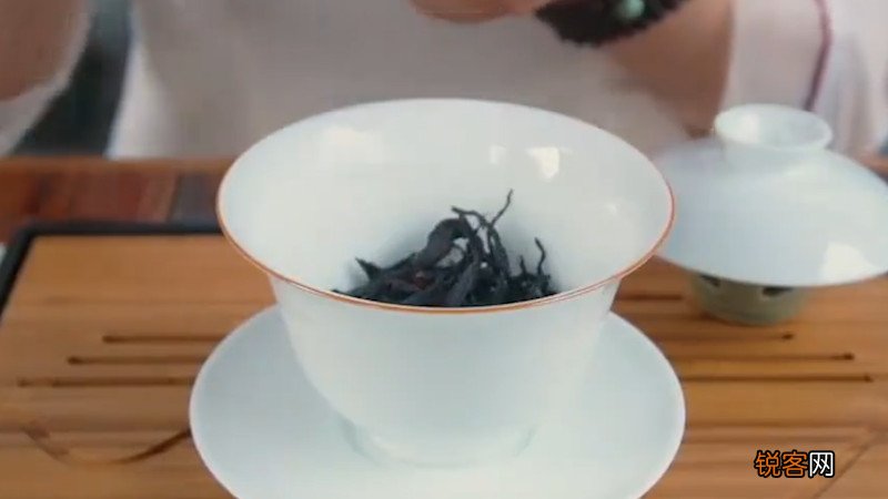 功夫茶喝什么茶好