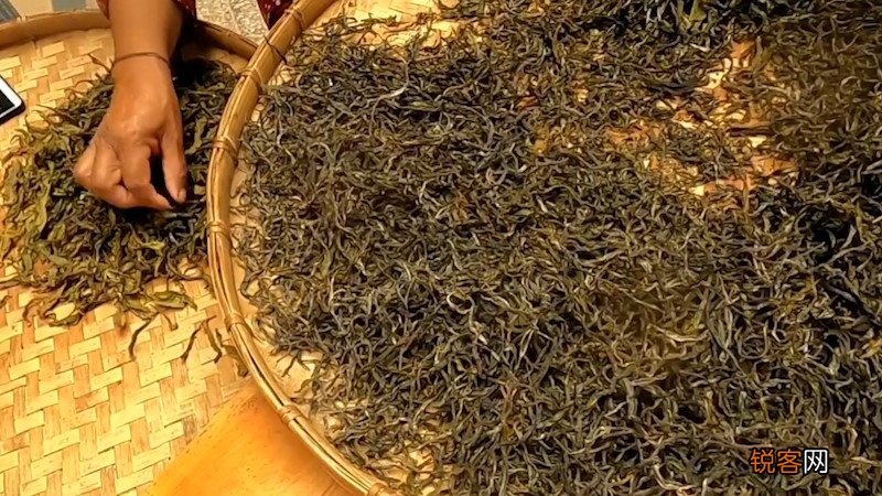 云南普洱茶产区