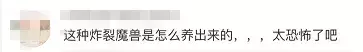 孩子发脾气时应该怎么做 孙俪分享 7 年育儿经