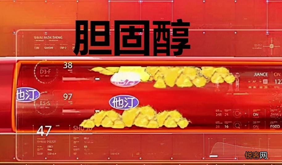 豆浆和牛奶哪个营养价值高 怎么选才是最适合自己的呢