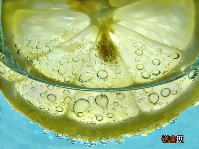 怎样延长插花的寿命 延长插花寿命的9个技巧