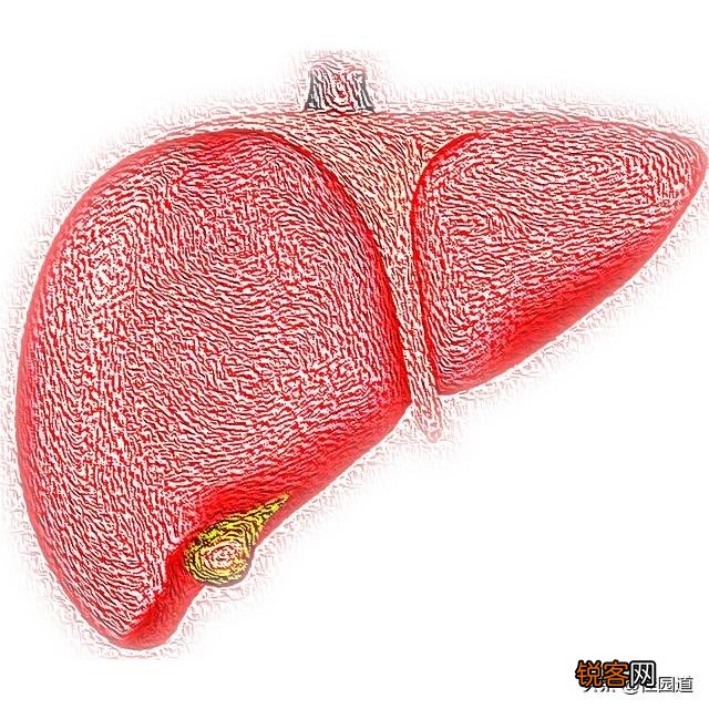 肝开始癌变时,脚底会有3个迹象,若一个不占,肝癌离你还很远！迹象是什么？