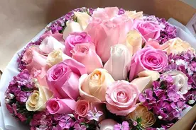 玫瑰花象征什么意义 玫瑰花花语象征与寓意