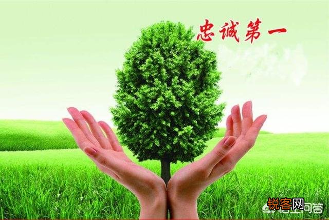 在工作中,你会忠于公司,还是忠于领导？