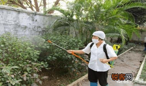有哪些低投入高回报的正规生意？