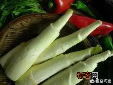 《舌尖上的中国3》中提到了“莼鲈之思”。这个成语有什么典故？“莼鲈”究竟指的是什么？