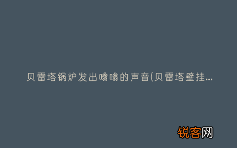 贝雷塔壁挂炉水泵一直响 贝雷塔锅炉发出嗡嗡的声音