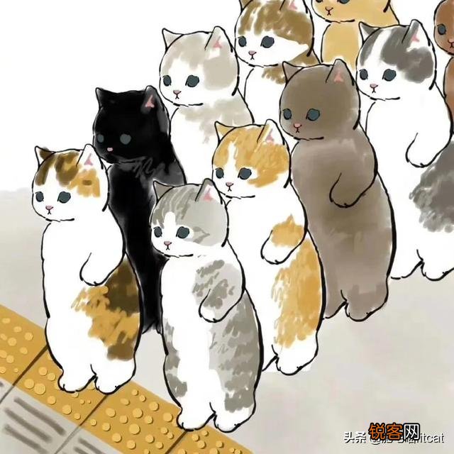 虎毒不食子,猫会吃孩子！猫咪为什么会吃点自己的孩子？