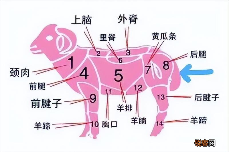 羊尾油是什么味道 吃一次三天还能闻到味