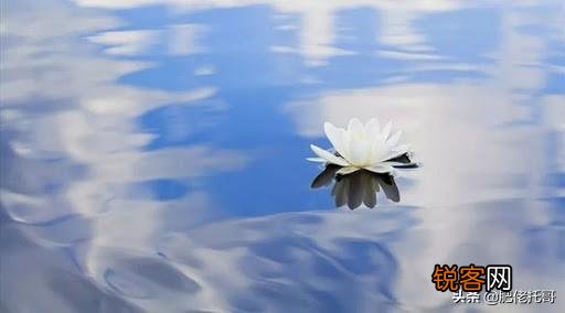 最近在网上看了很恐怖的东西,一直缓不过来,在自己家都很焦虑很害怕,该怎么办?