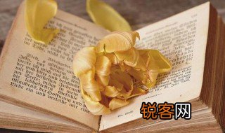 气象观测场是什么意思 气象观测场解释