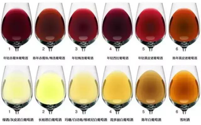 最全红酒知识 快速入门小技巧