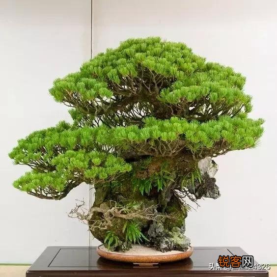 有没有遇见让你震撼到灵魂深处的艺术？