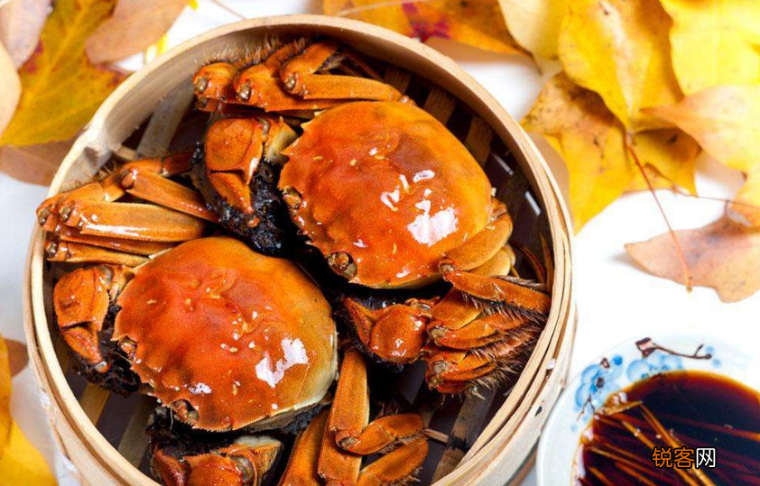螃蟹怎么蒸肉质更鲜嫩 蒸螃蟹蘸料汁怎么调