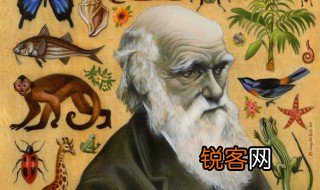 达尔文的巨著 达尔文的巨著有哪些呢