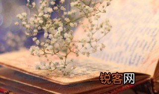 红梅古诗 古诗红梅全诗句